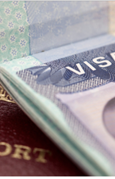Visa Documentation & Processing / Visa Lodgment (if any)